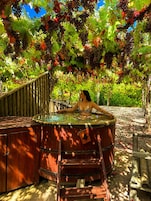 Un jacuzzi en un entorno de viñedo, con una terraza de madera y una valla de madera al fondo.
