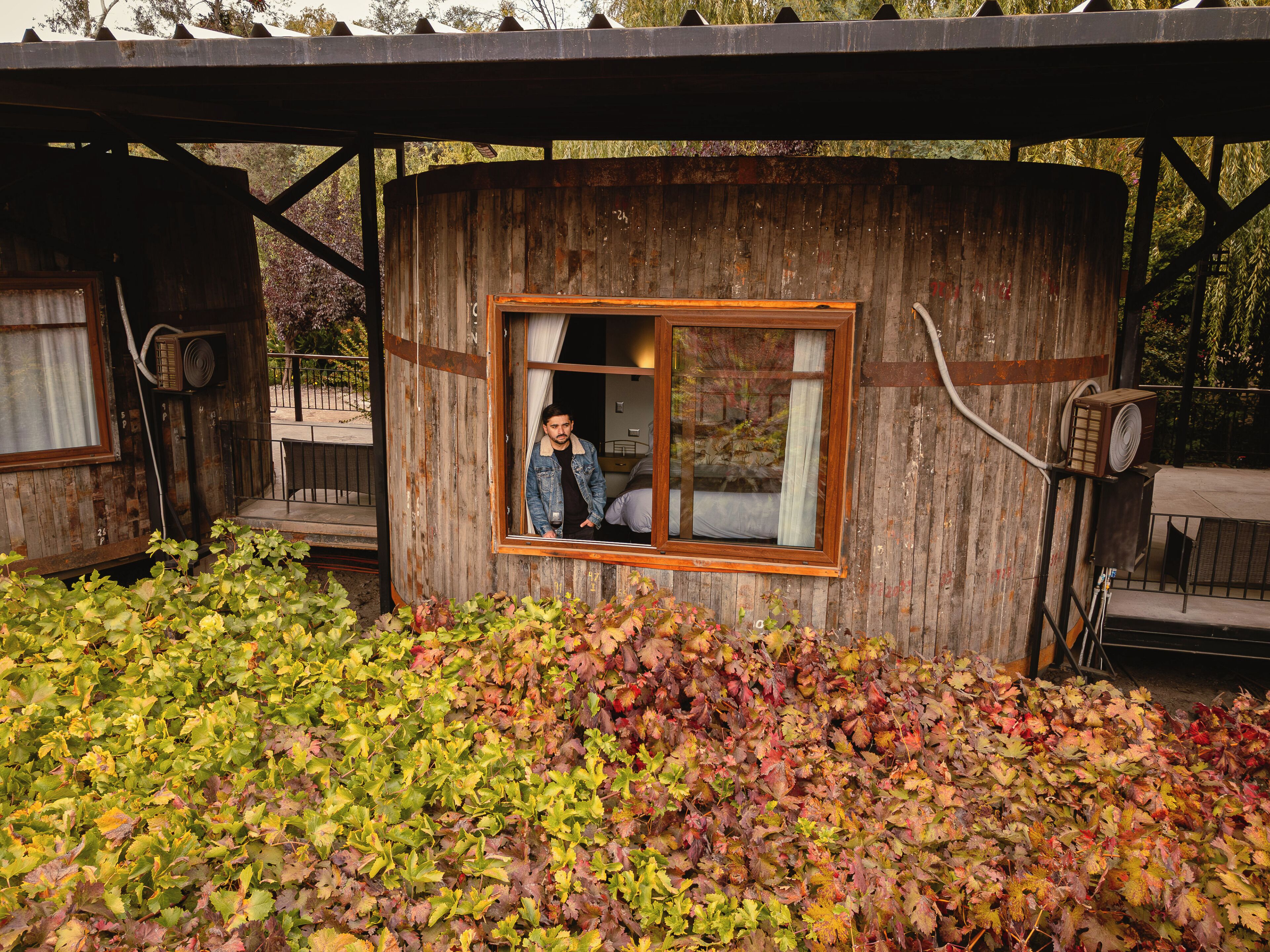 A rustic cabin with a window, surrounded by foliage.