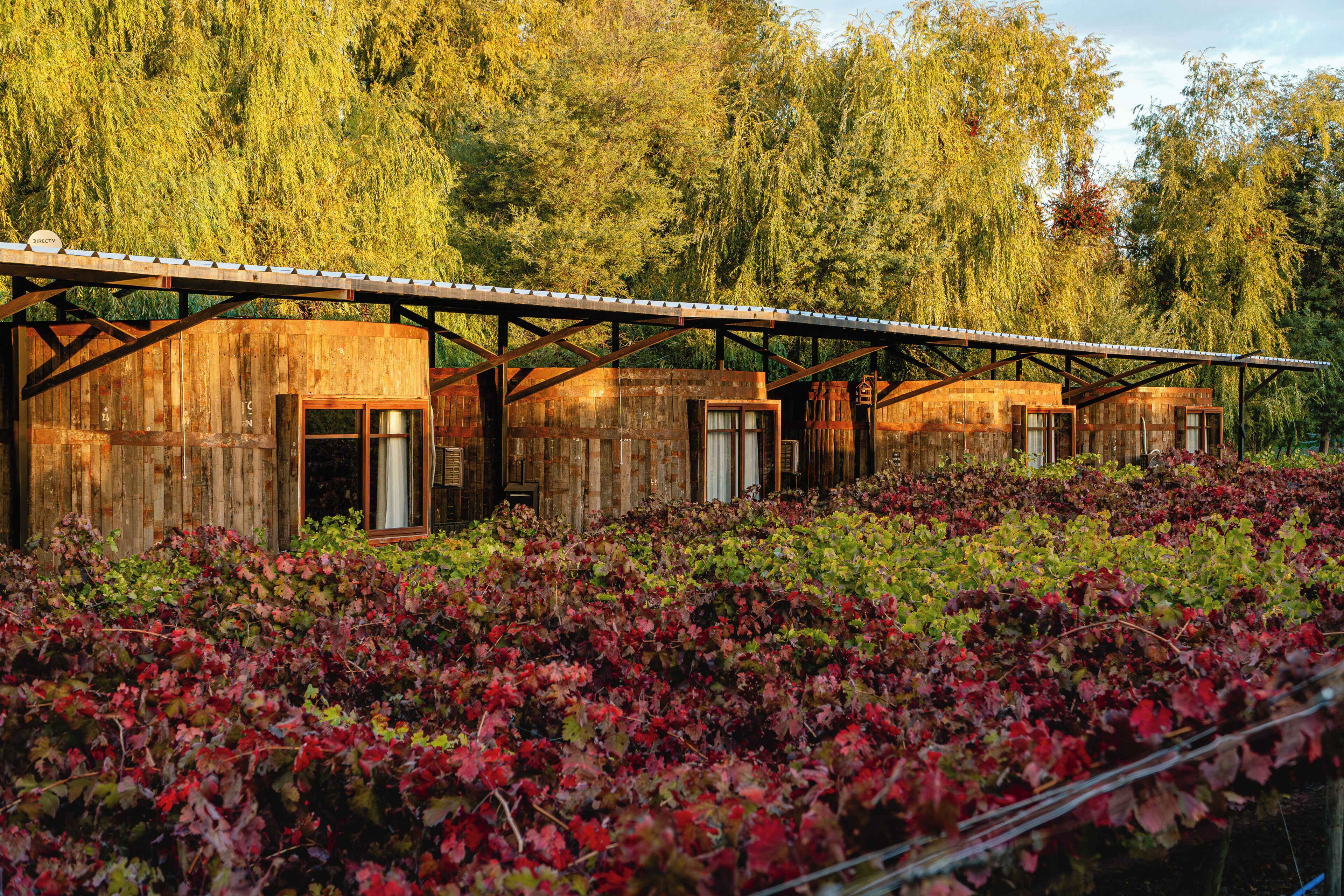 Un edificio rústico de madera con techo metálico, rodeado de un exuberante jardín con follaje rojo y verde.