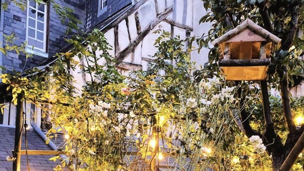 A garden with string lights, a bird feeder, and a lantern. - La Cour Sainte Catherine (Honfleur)
