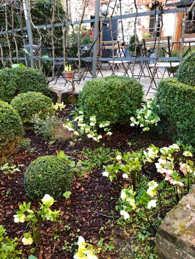 A garden with neatly trimmed bushes and a variety of plants.