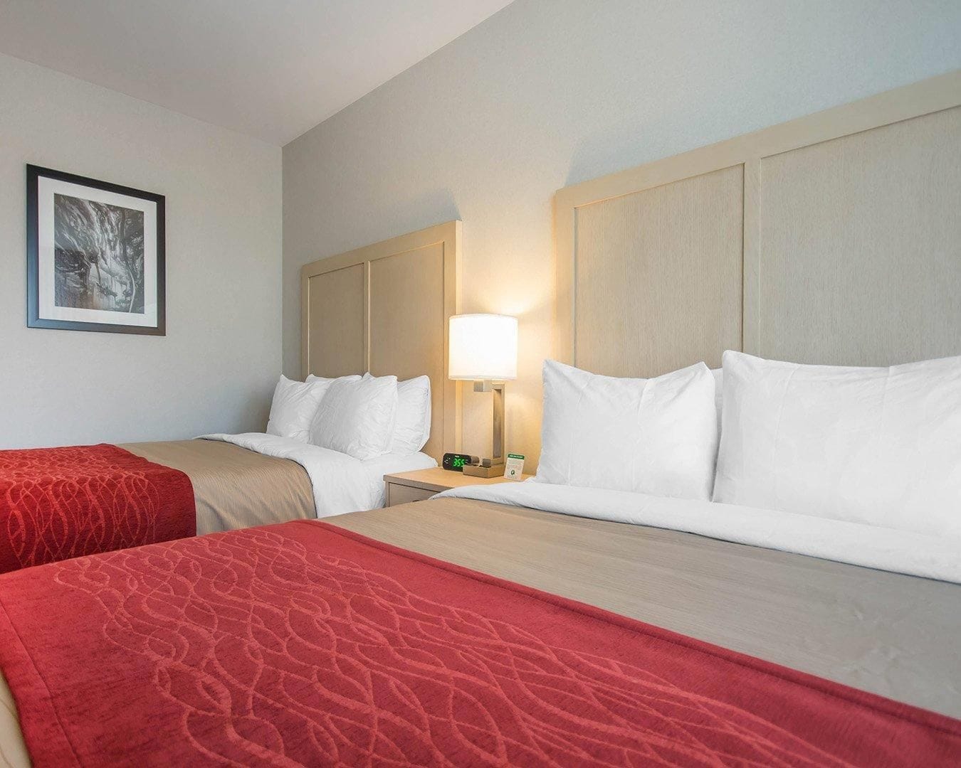 A hotel room with two beds, a nightstand with a lamp, a framed picture on the wall, and a red throw blanket.