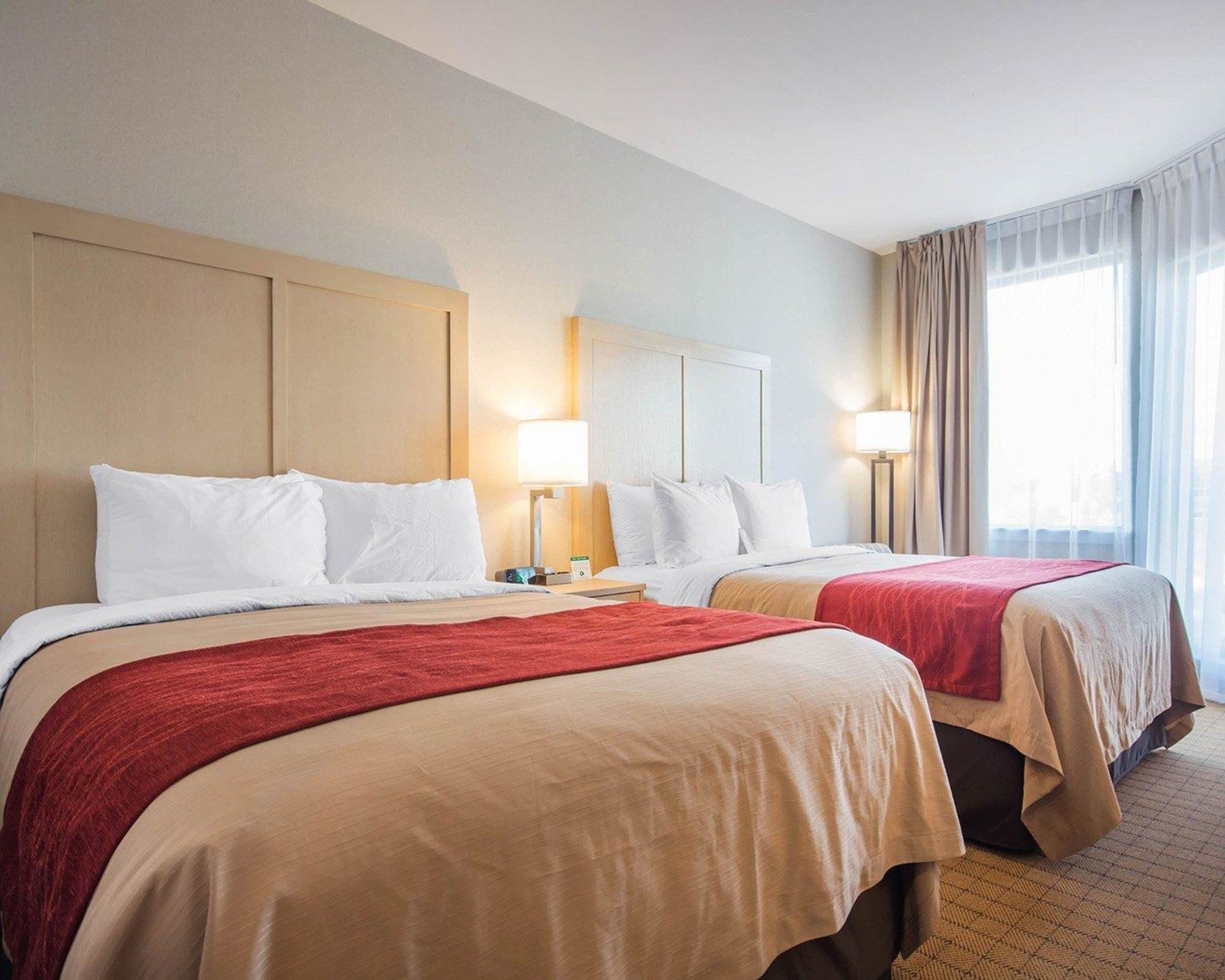 standard room, 2 queen beds, non smoking (no pets) | desk, blackout curtains, iron/ironing board, rollaway beds