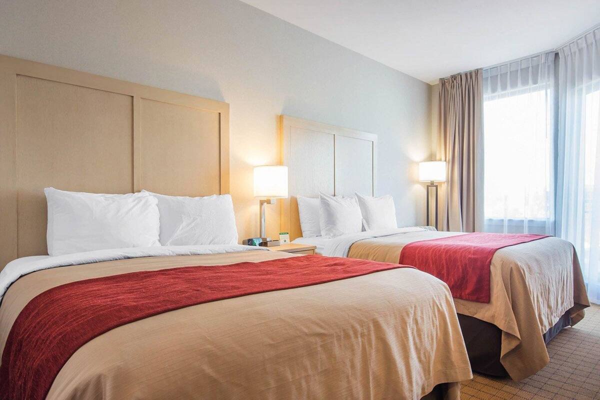 standard room, 2 queen beds, non smoking (no pets) | desk, blackout curtains, iron/ironing board, rollaway beds