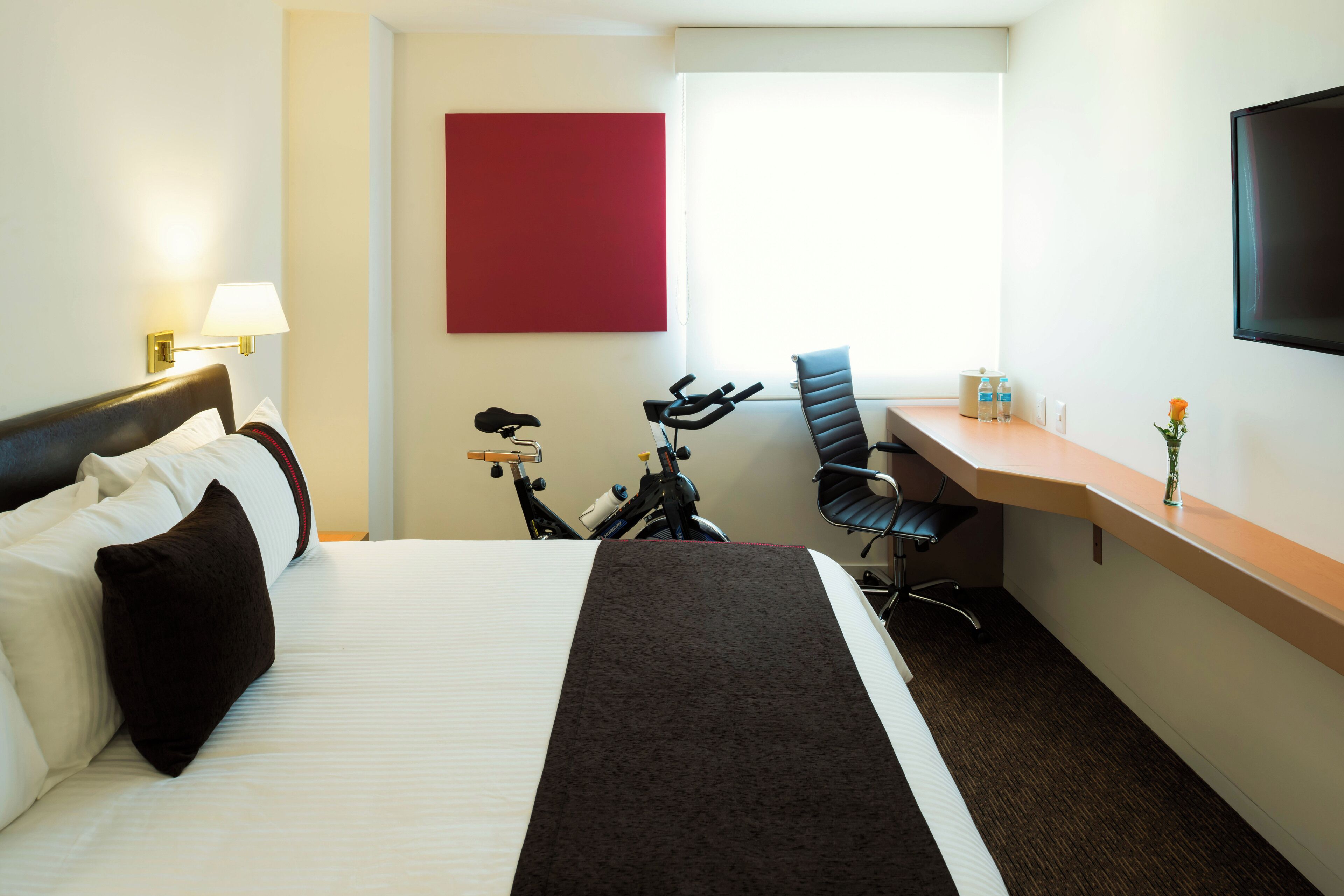 deluxe room, 1 large single bed | 1 bedroom, in-room safe, desk, laptop workspace