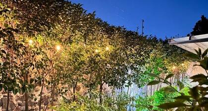 Hotel VM Express Querétaro