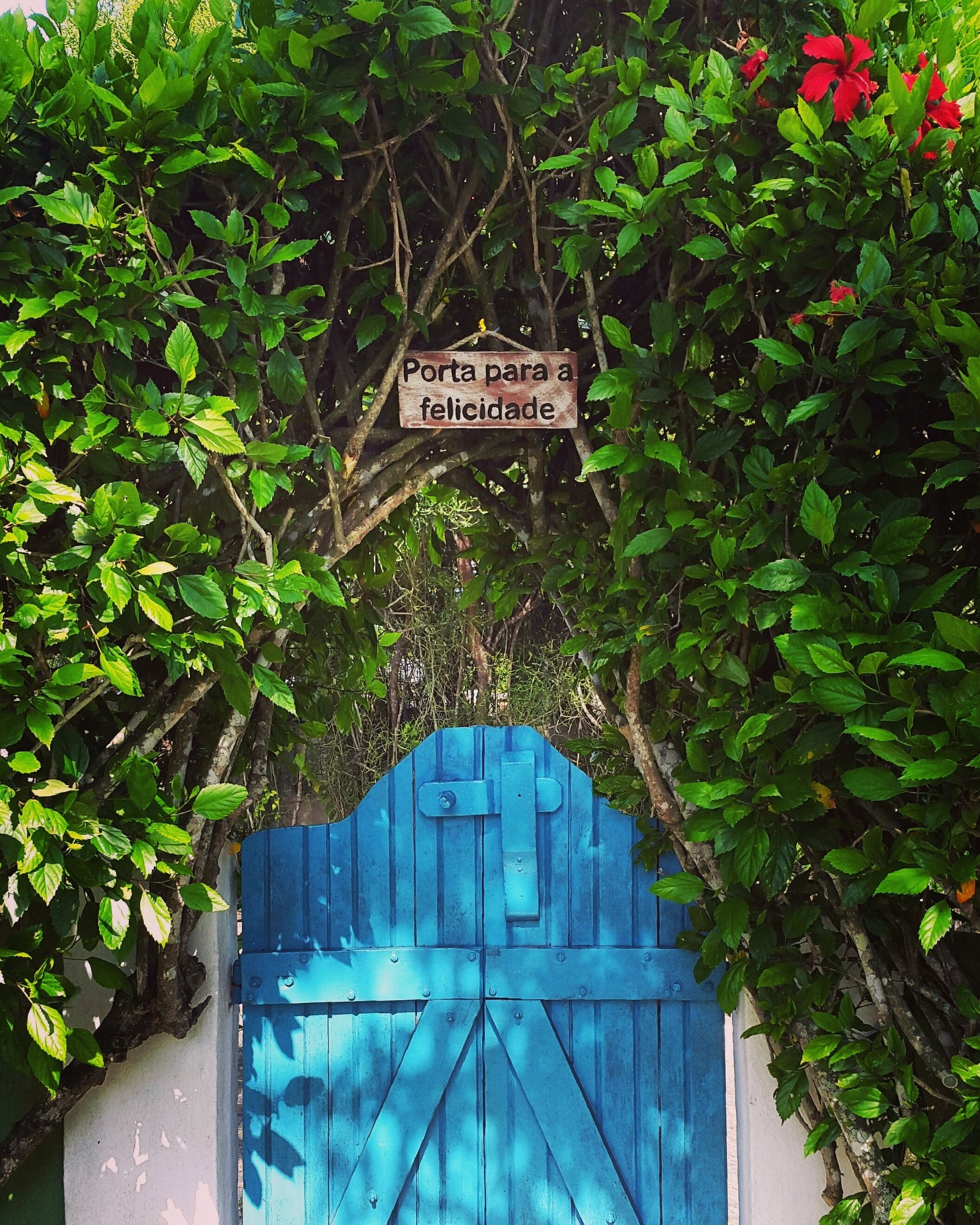 Chi tiết ngoại thất