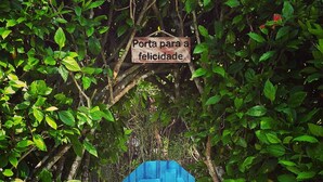 A blue gate with a sign above it that reads "Porta para a felicidade". - Pousada Casa Búzios (Búzios)