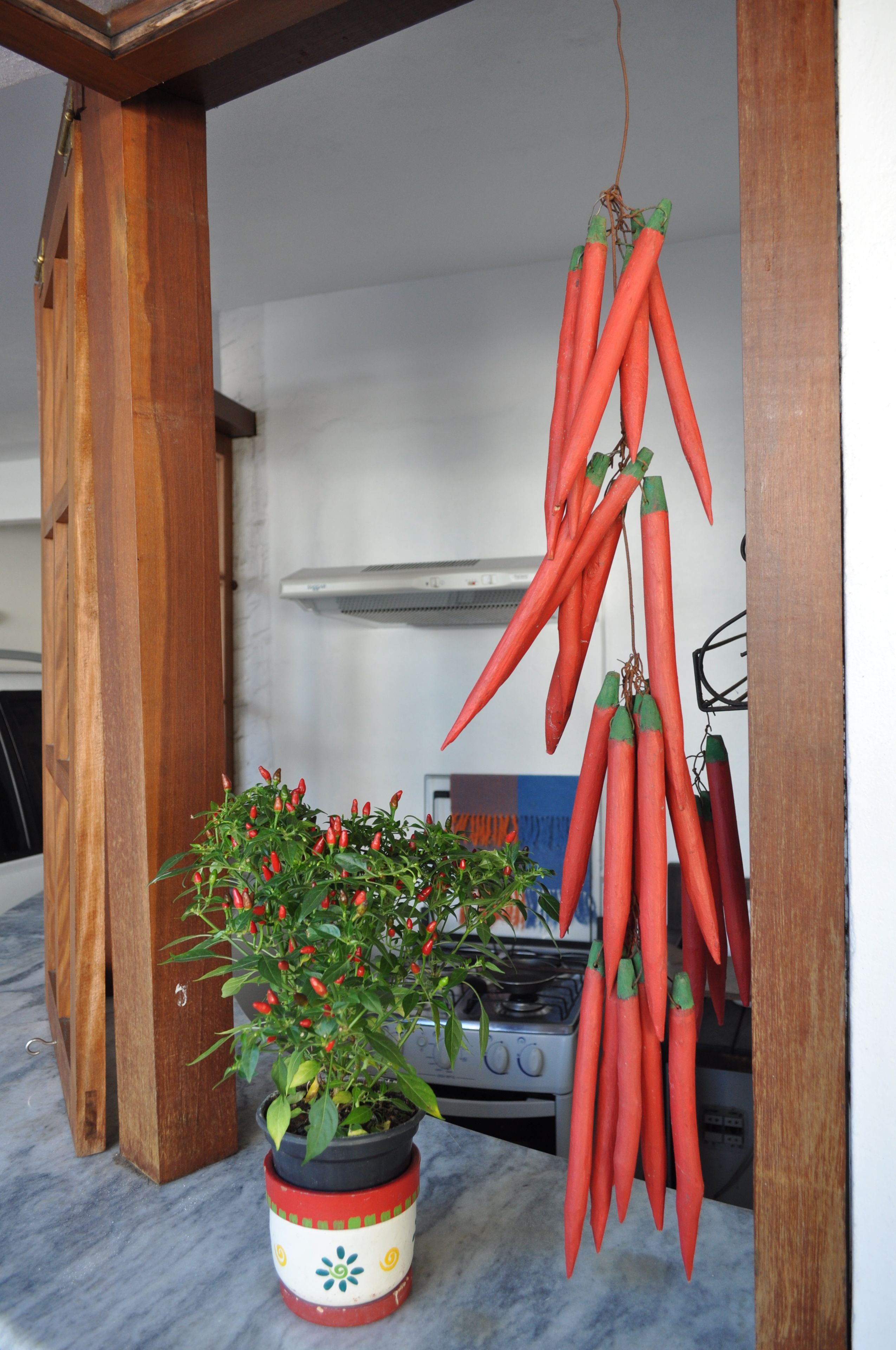 A kitchen with a potted chili plant and hanging red chili peppers.