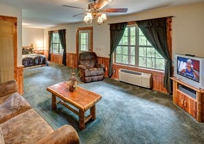 TV, fireplace, DVD player