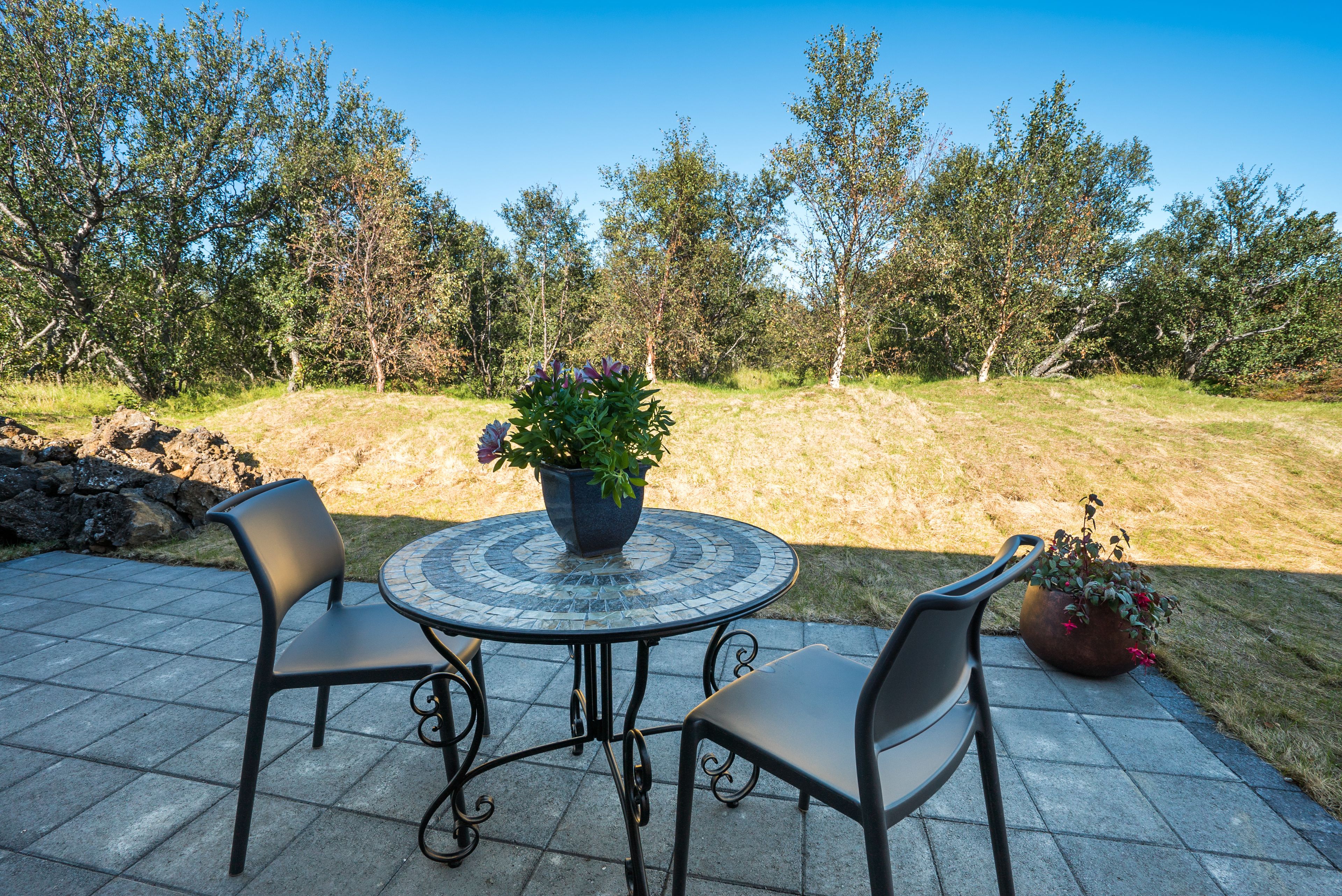 suite | view from room