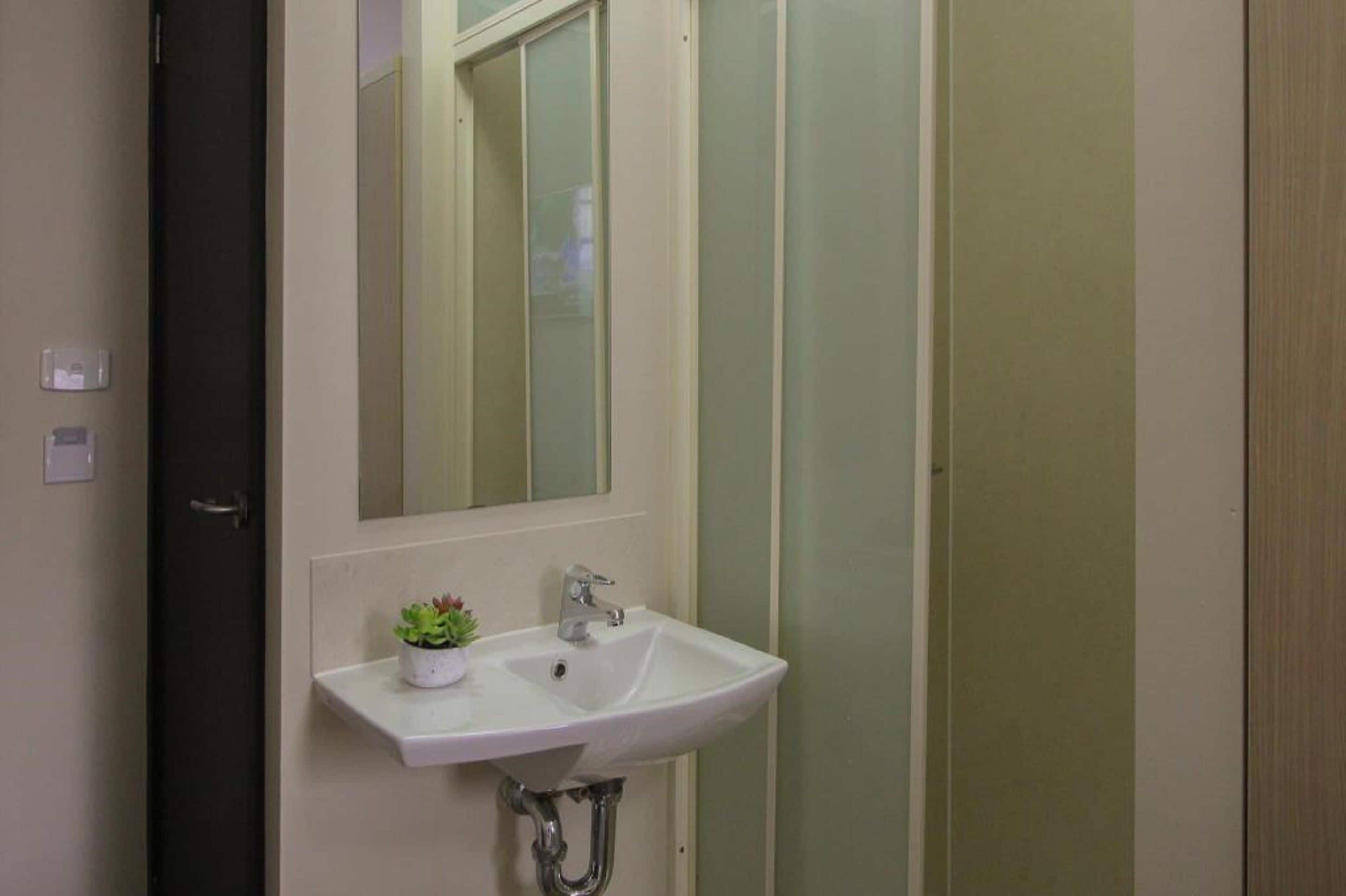 A bathroom with a white sink, a small potted plant, and a mirror.