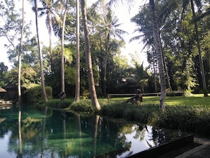 Scooter/moped - Puri Tupai (Ubud)