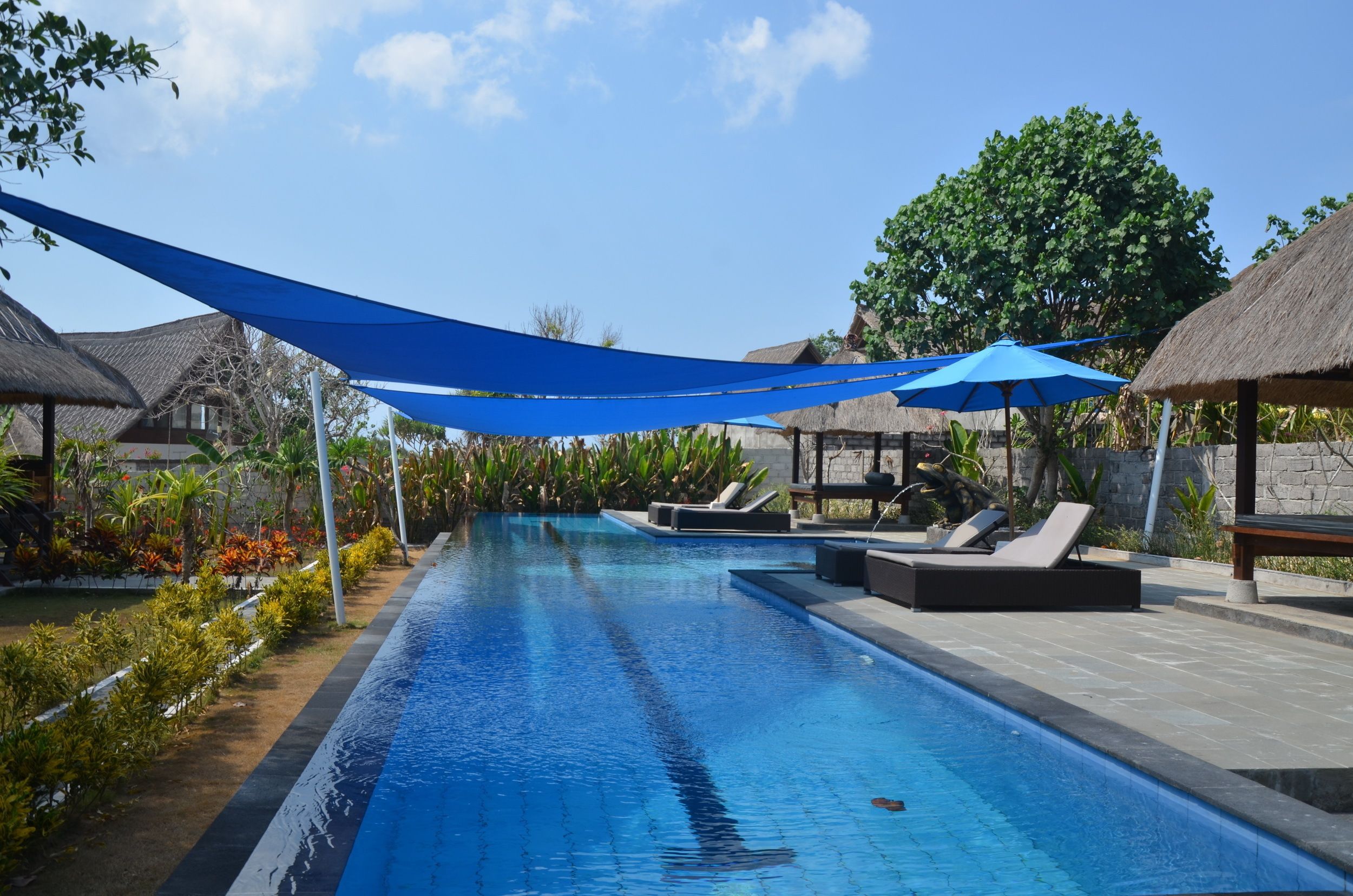 outdoor pool, pool loungers