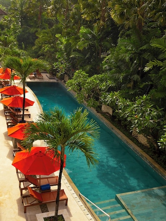 Outdoor pool, pool umbrellas, sun loungers