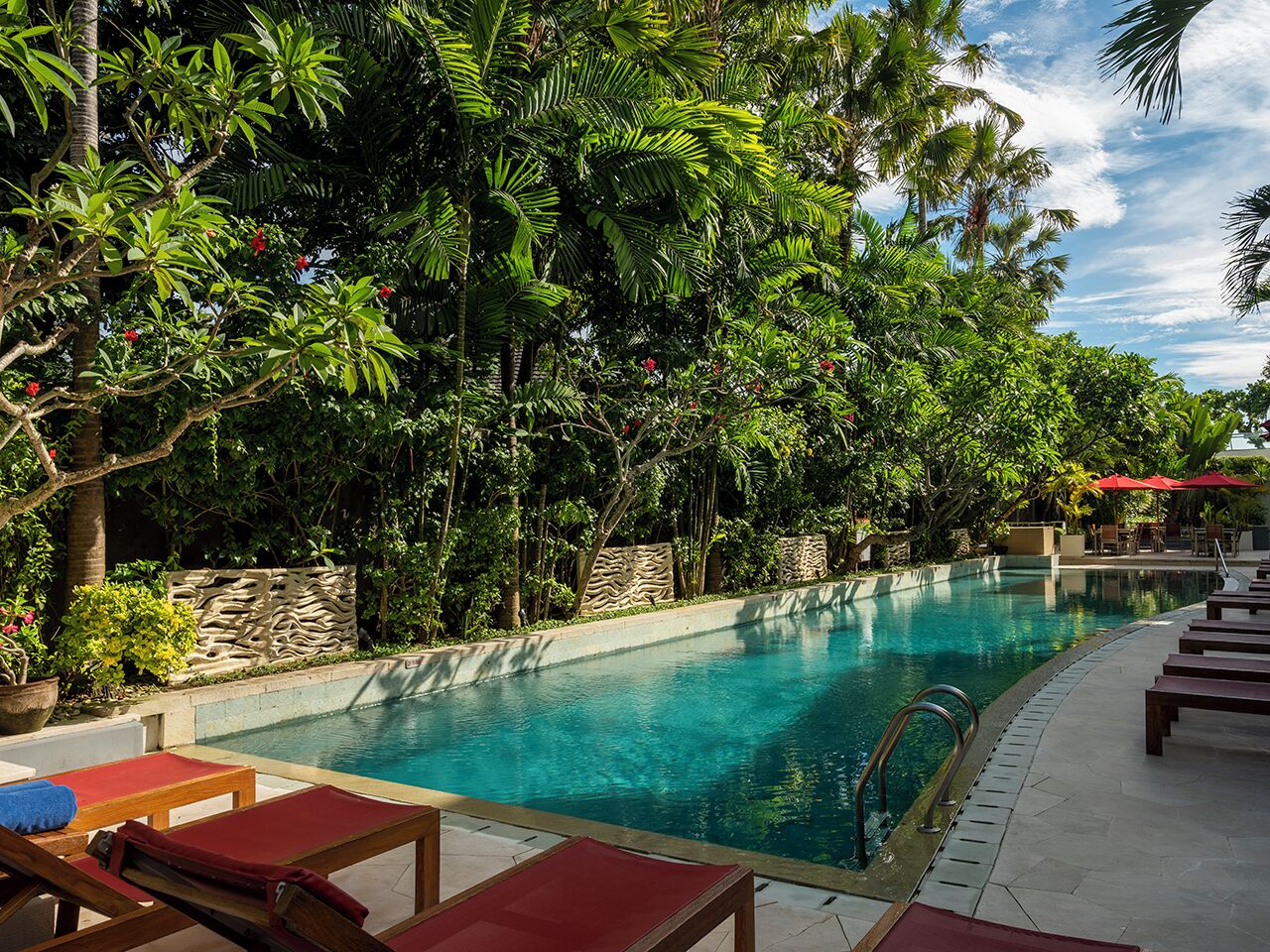 A pool surrounded by lush greenery and stone walls.