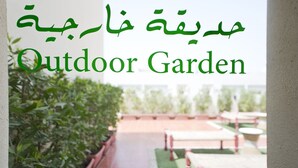 Un jardin extérieur avec un sentier, des bancs et des plantes en pot.