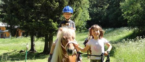 A child riding a pony in a grassy area with trees and a building in the background.