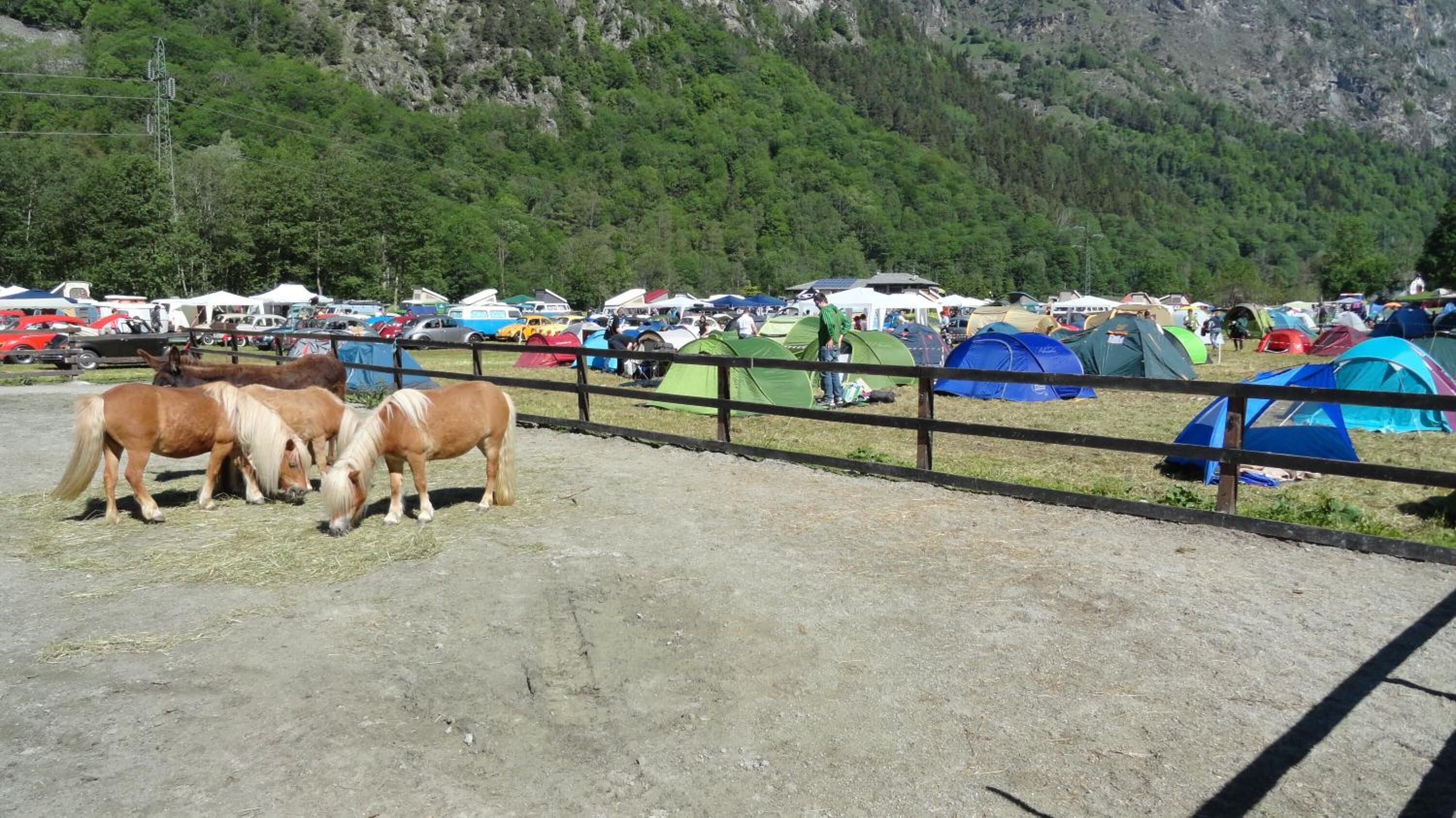 A campsite with tents and horses grazing.
