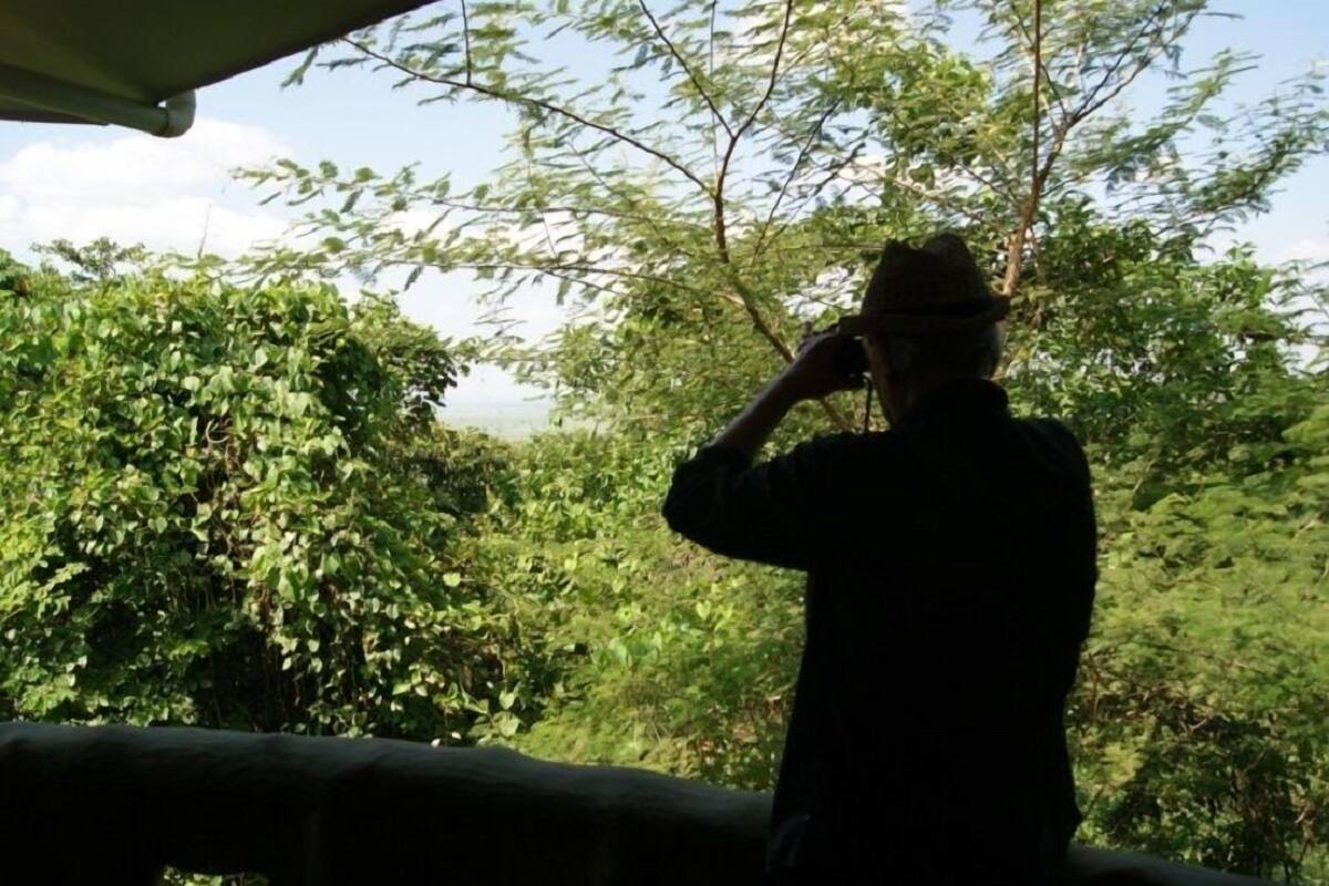 Vistas desde la habitación