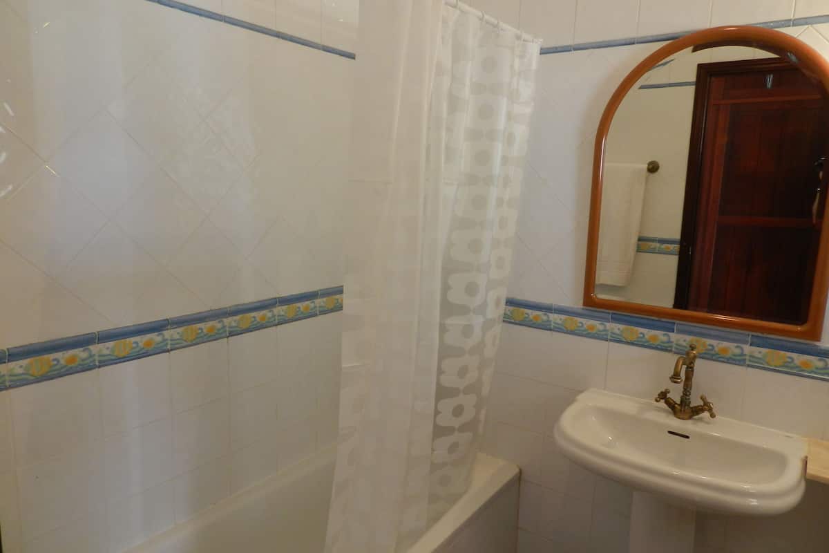 classic double room, garden view, ground floor | bathroom | free toiletries, hair dryer, bidet, towels