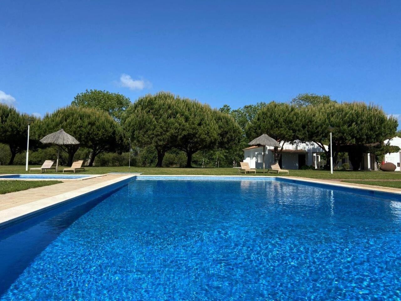 outdoor pool, pool umbrellas, pool loungers