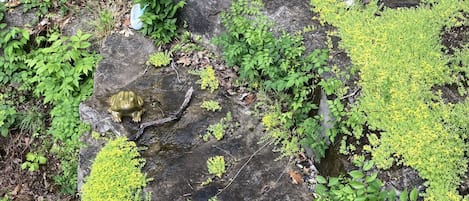 Blick auf die Umgebung