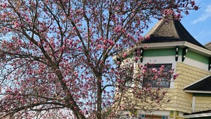 A yellow house with a green roof, surrounded by blooming trees and a garden with potted plants and a statue. - All Seasons Inn (Eureka Springs)