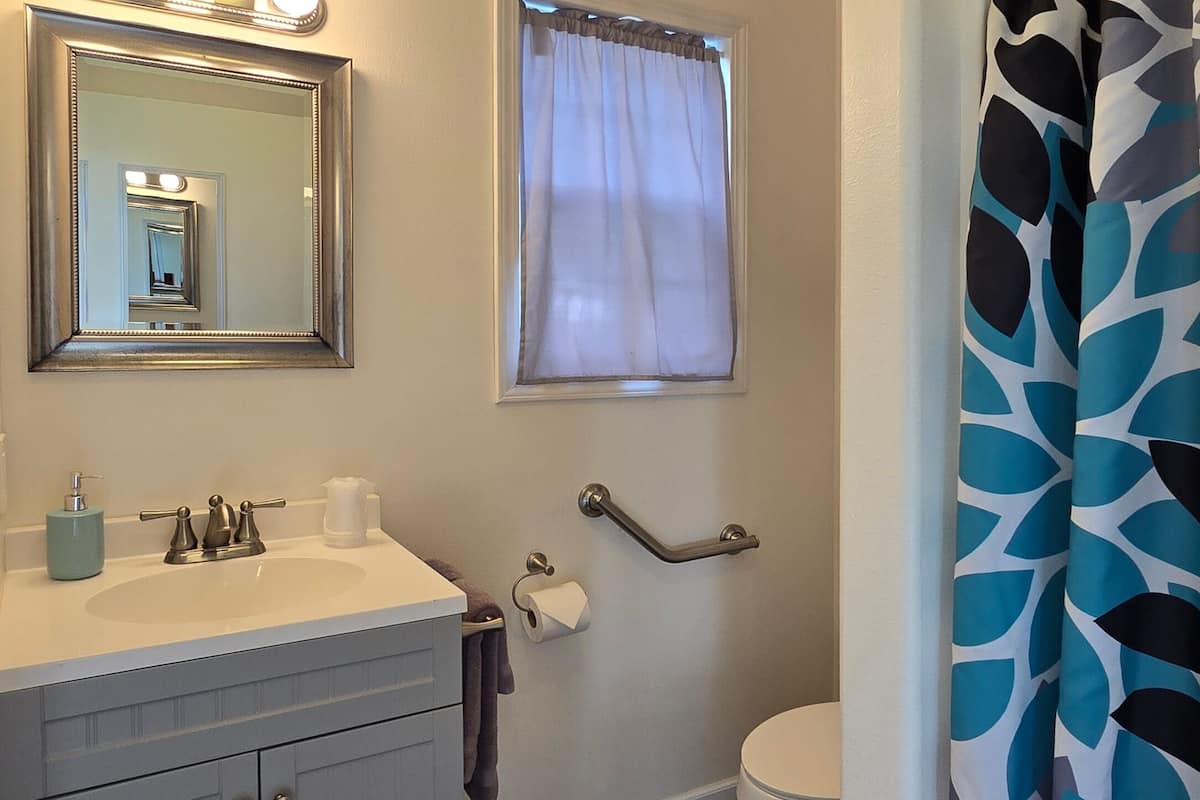 deluxe 2 queens, downstairs dog-friendly | bathroom | shower, hair dryer, towels