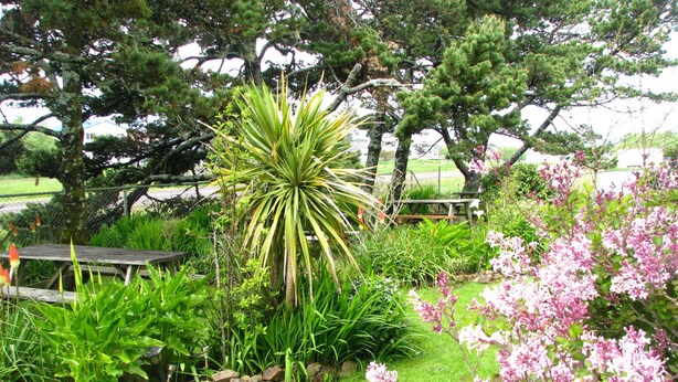Un jardin agrémenté de diverses plantes, un mur de pierre et un banc en bois.