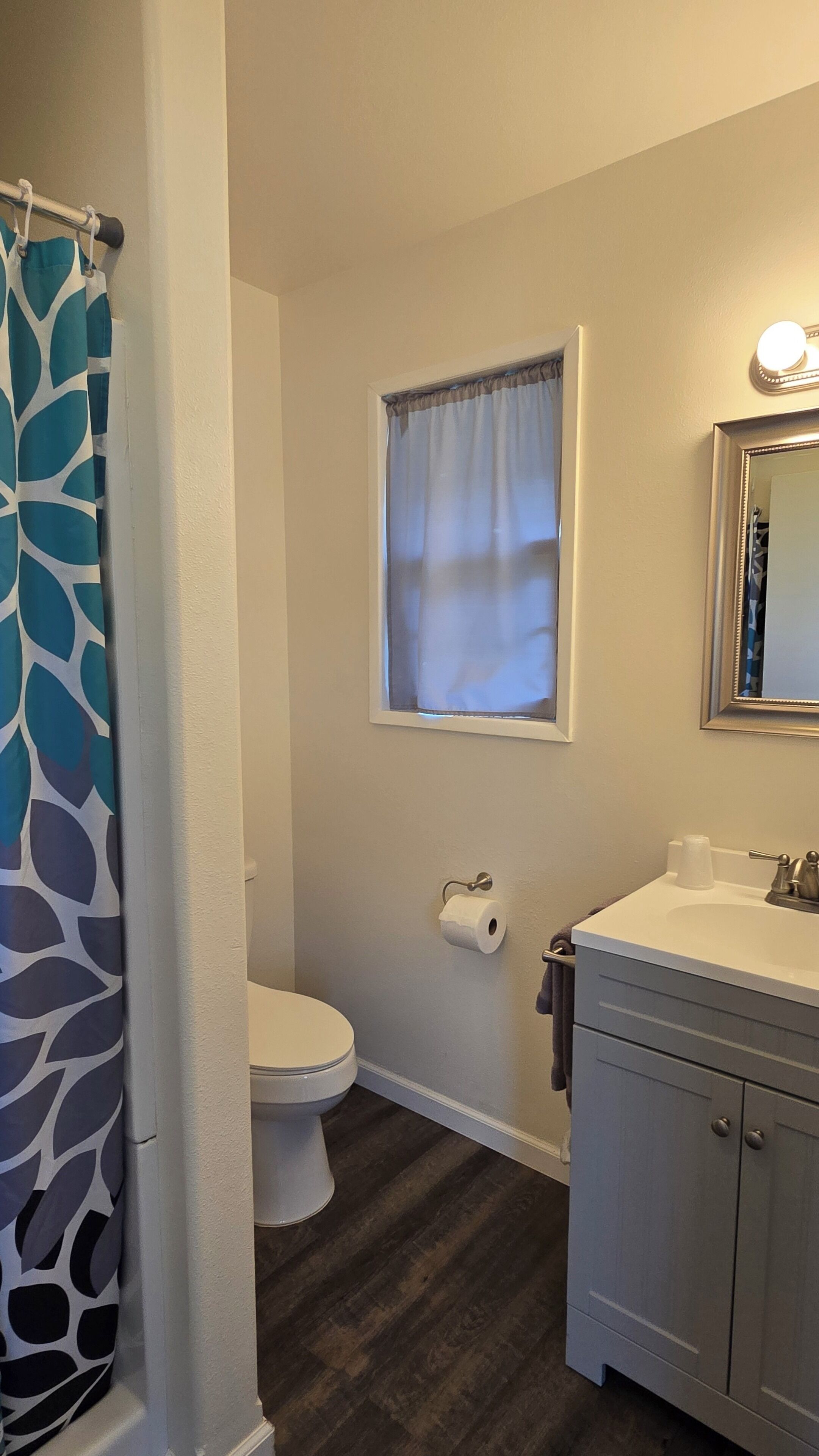 deluxe 1 king, downstairs (dog-friendly) | bathroom | shower, hair dryer, towels