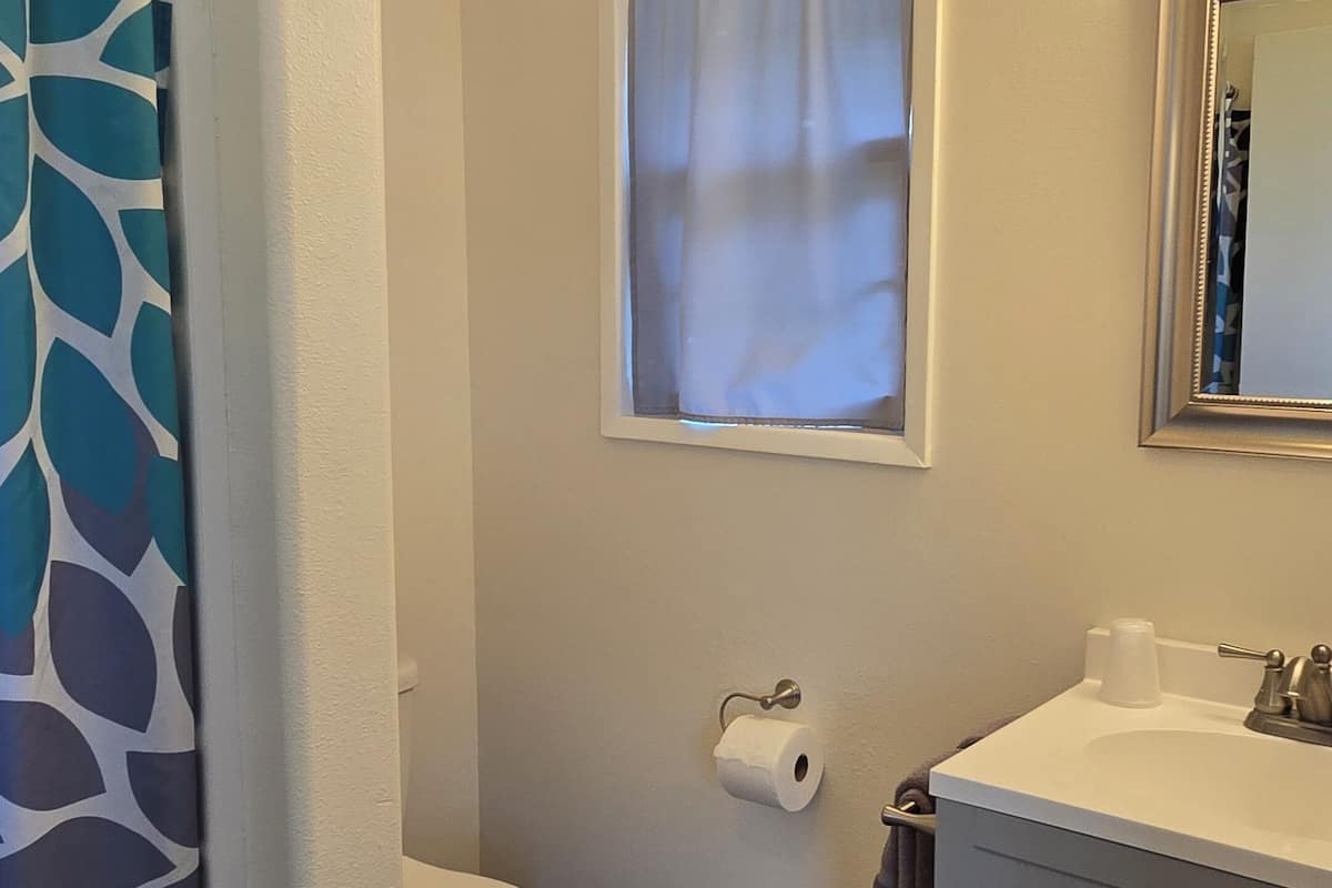 deluxe 1 king, downstairs (dog-friendly) | bathroom | shower, hair dryer, towels