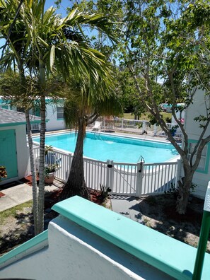 A swimming pool surrounded by a white fence, with palm trees and a building in the background. - Swashbuckler Motel (Treasure Island)