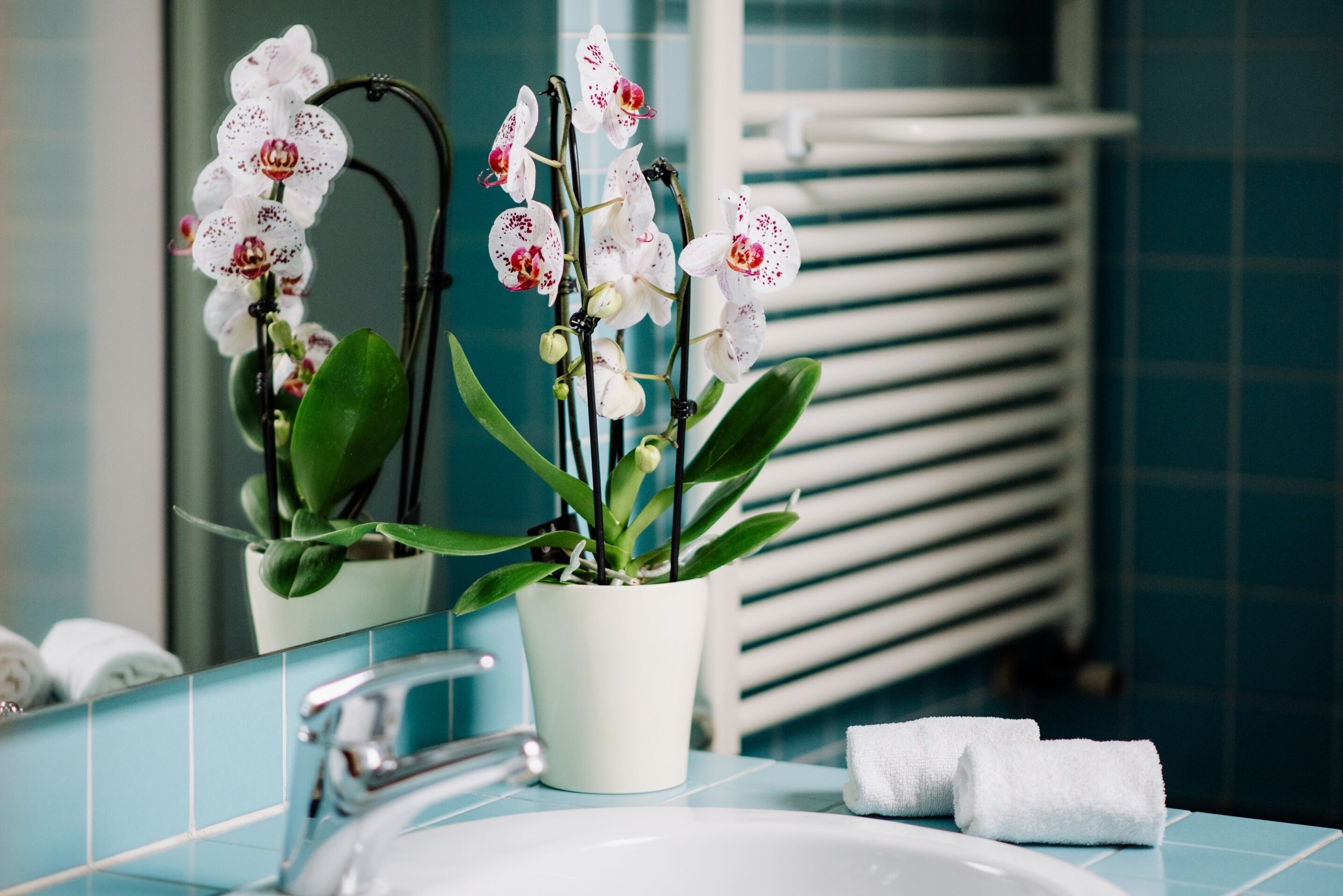 Ein Badezimmer mit einem weißen Waschbecken, zwei Orchideen in Töpfen und einem Handtuchhalter mit Handtüchern.