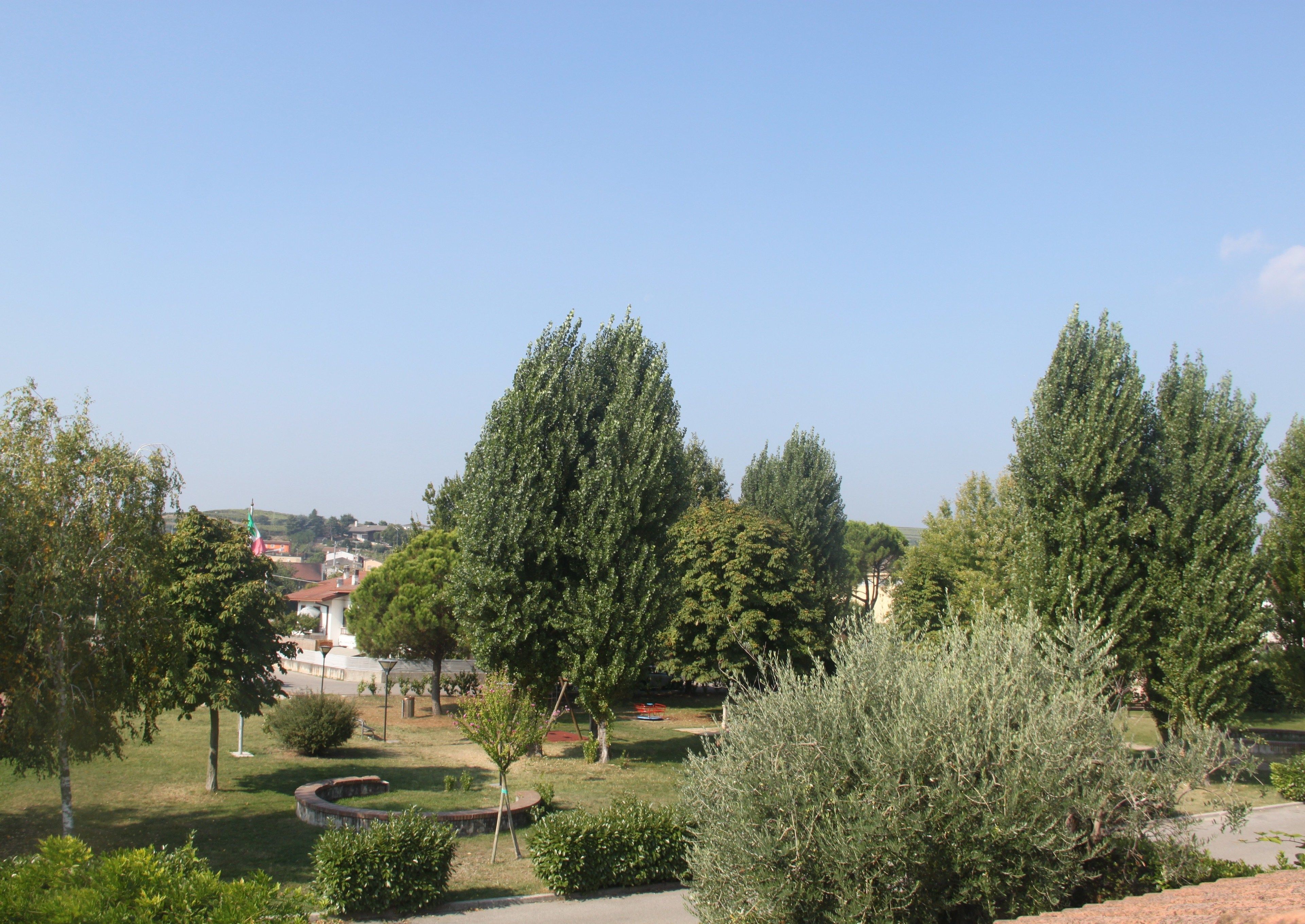 A park with tall trees, a fountain, and a clear blue sky.
