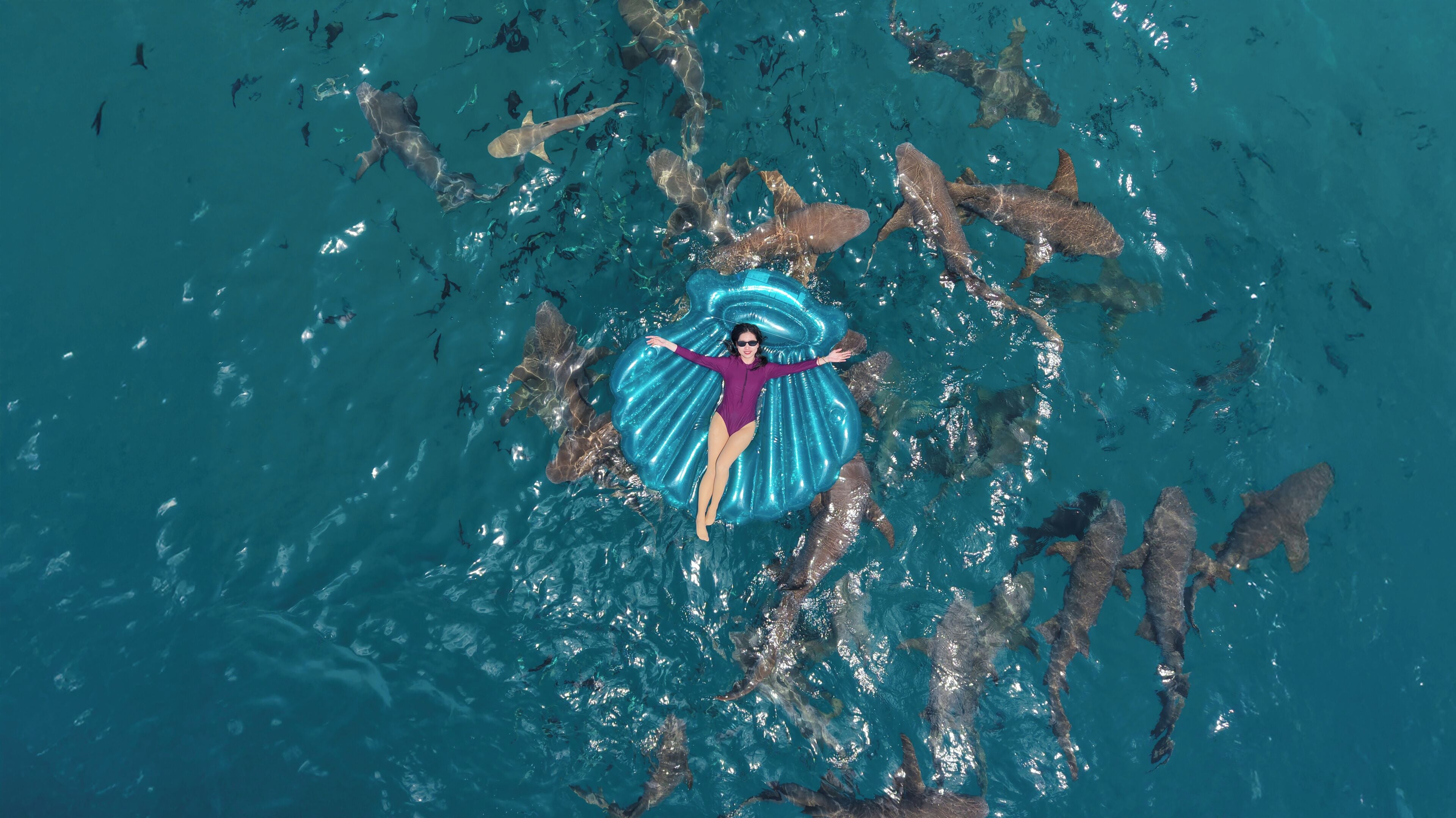 A person floating in water surrounded by sharks.