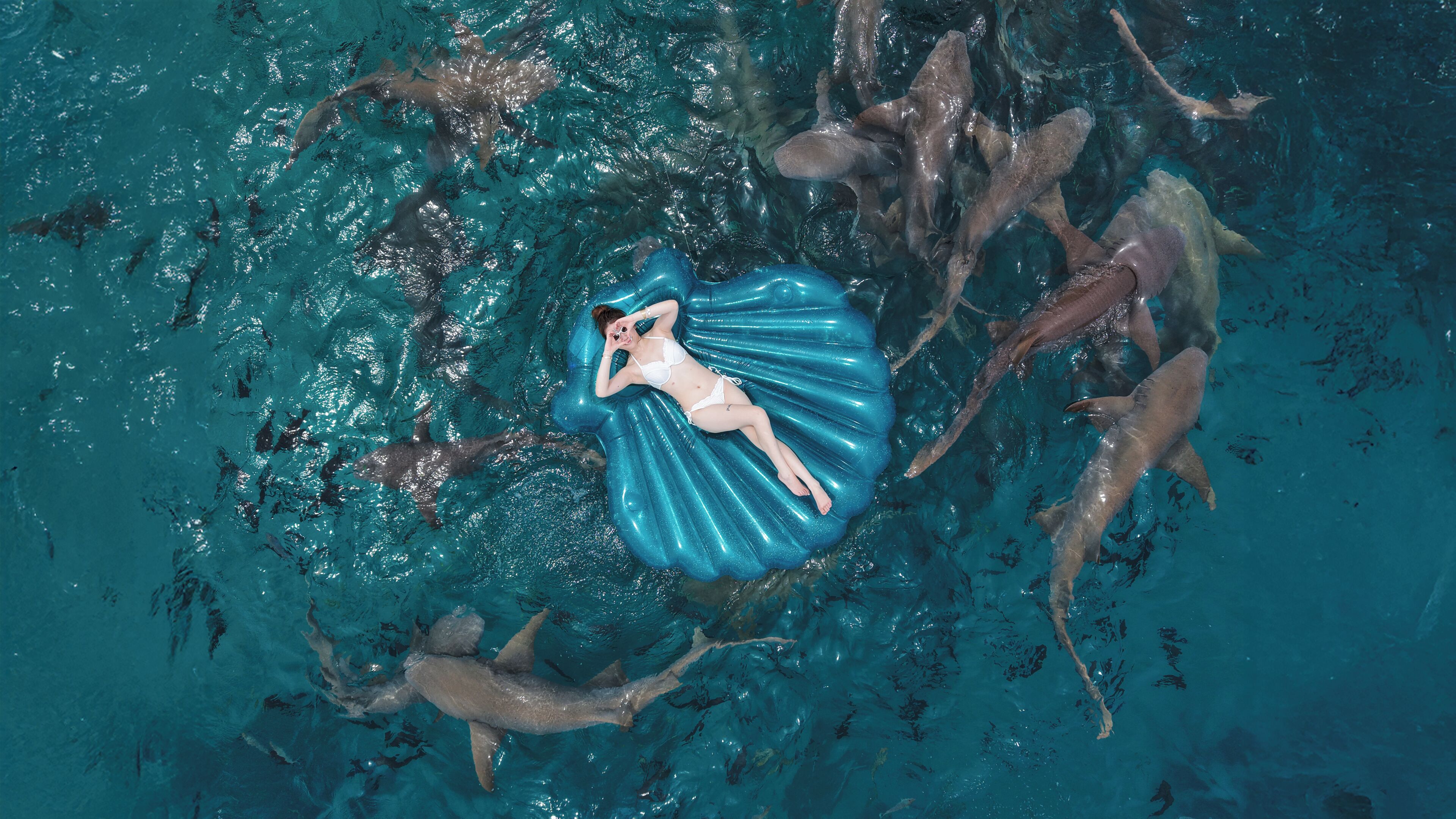 A mermaid tail floating in clear water with sharks swimming around.