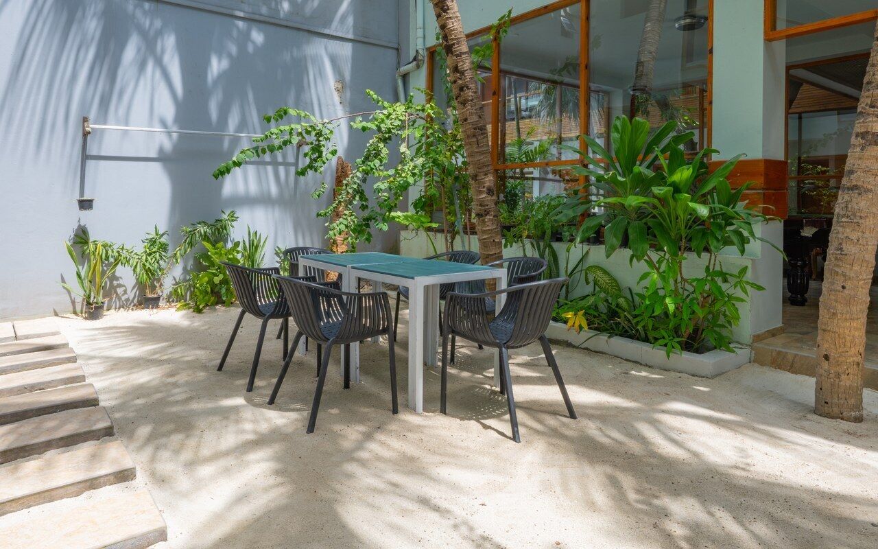 A patio with a table and chairs, surrounded by potted plants and a palm tree.