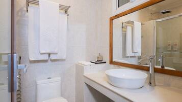 Un bagno con il water, un lavandino con uno specchio grande e un porta asciugamani.