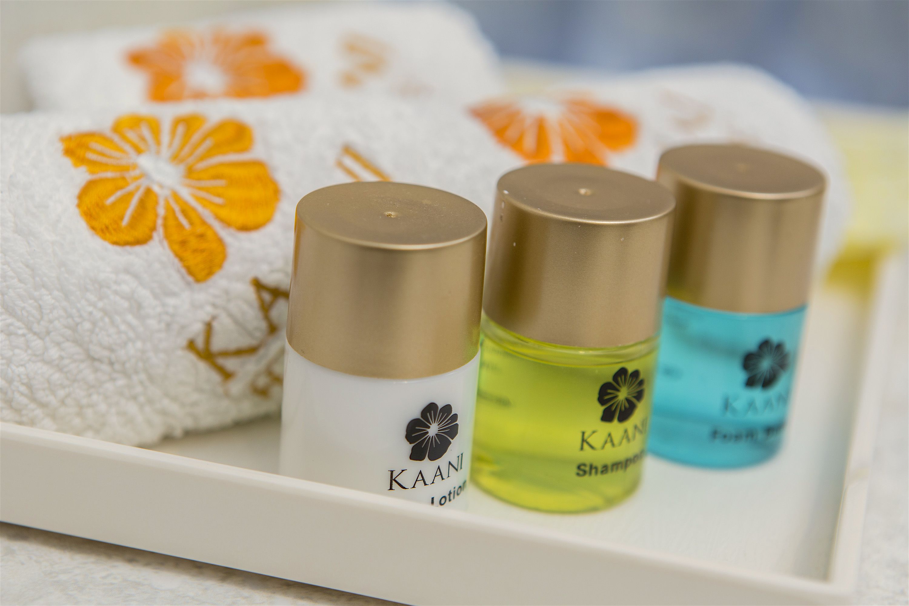 family room | bathroom amenities | rainfall showerhead, free toiletries, hair dryer, towels