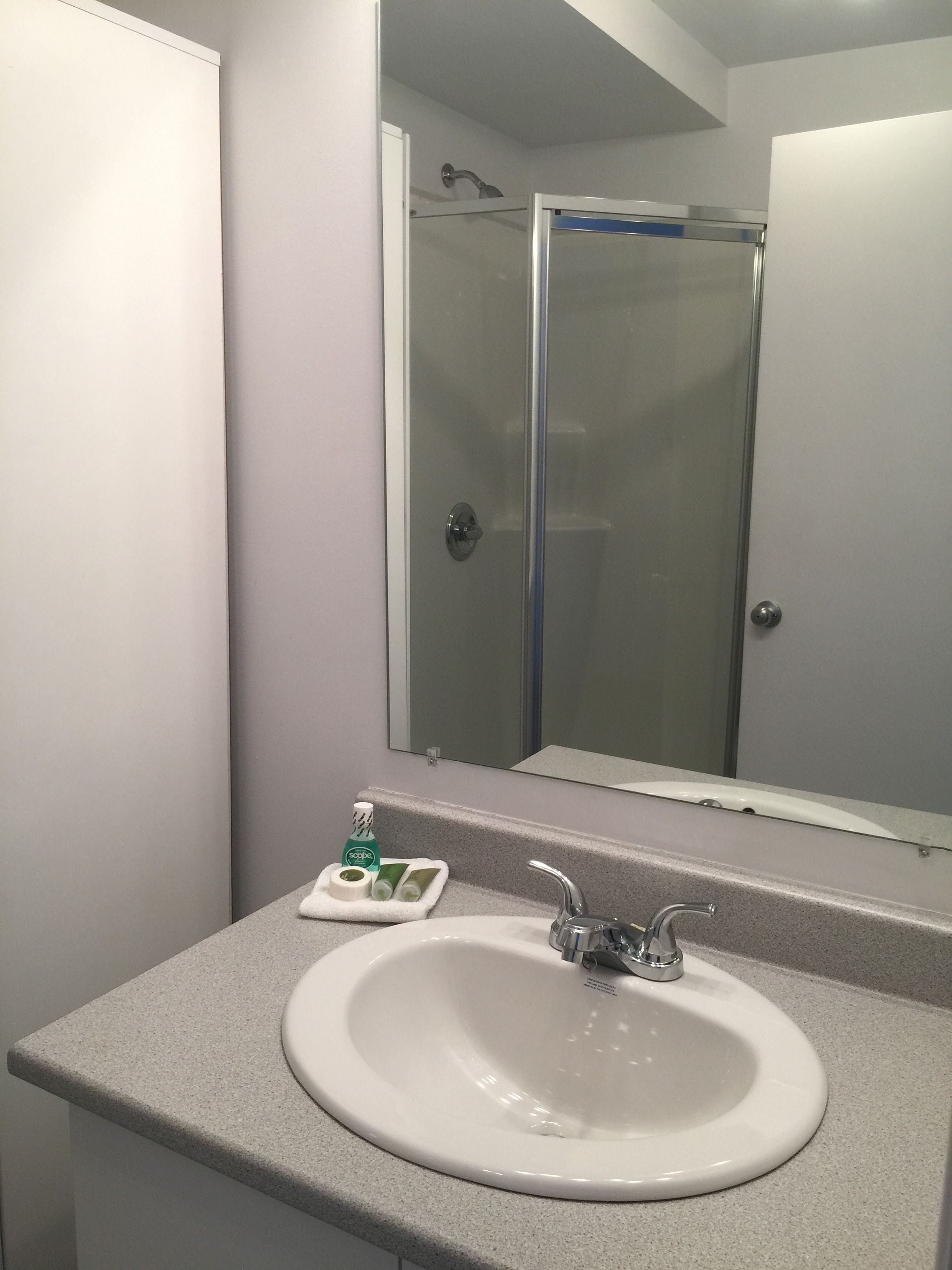 Une salle de bain avec un lavabo blanc, un miroir et une porte de douche en verre.