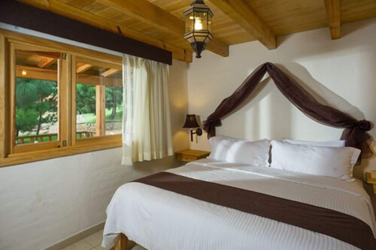 Premium bedding, in-room safe, laptop workspace, individually decorated