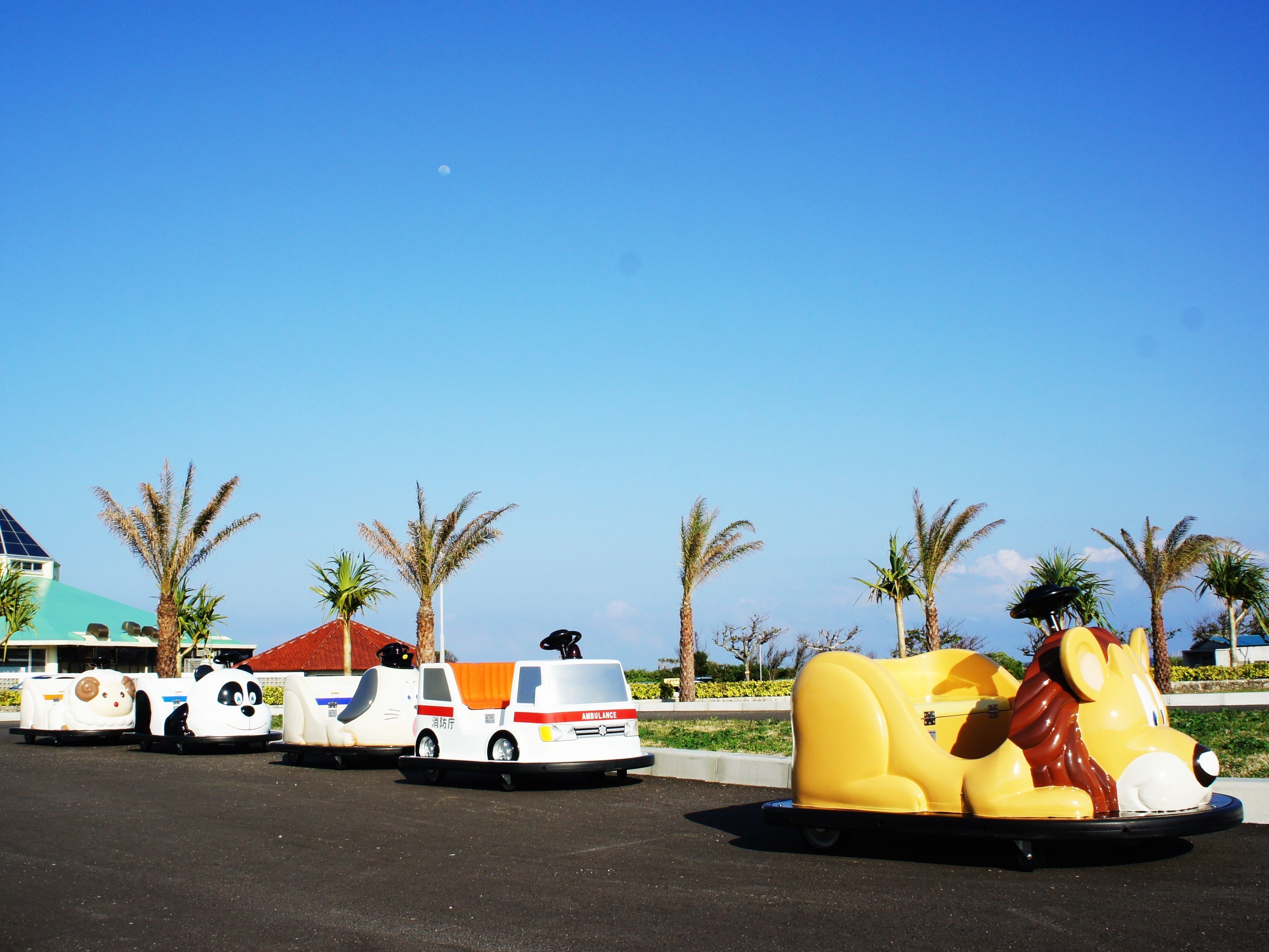 children’s activities