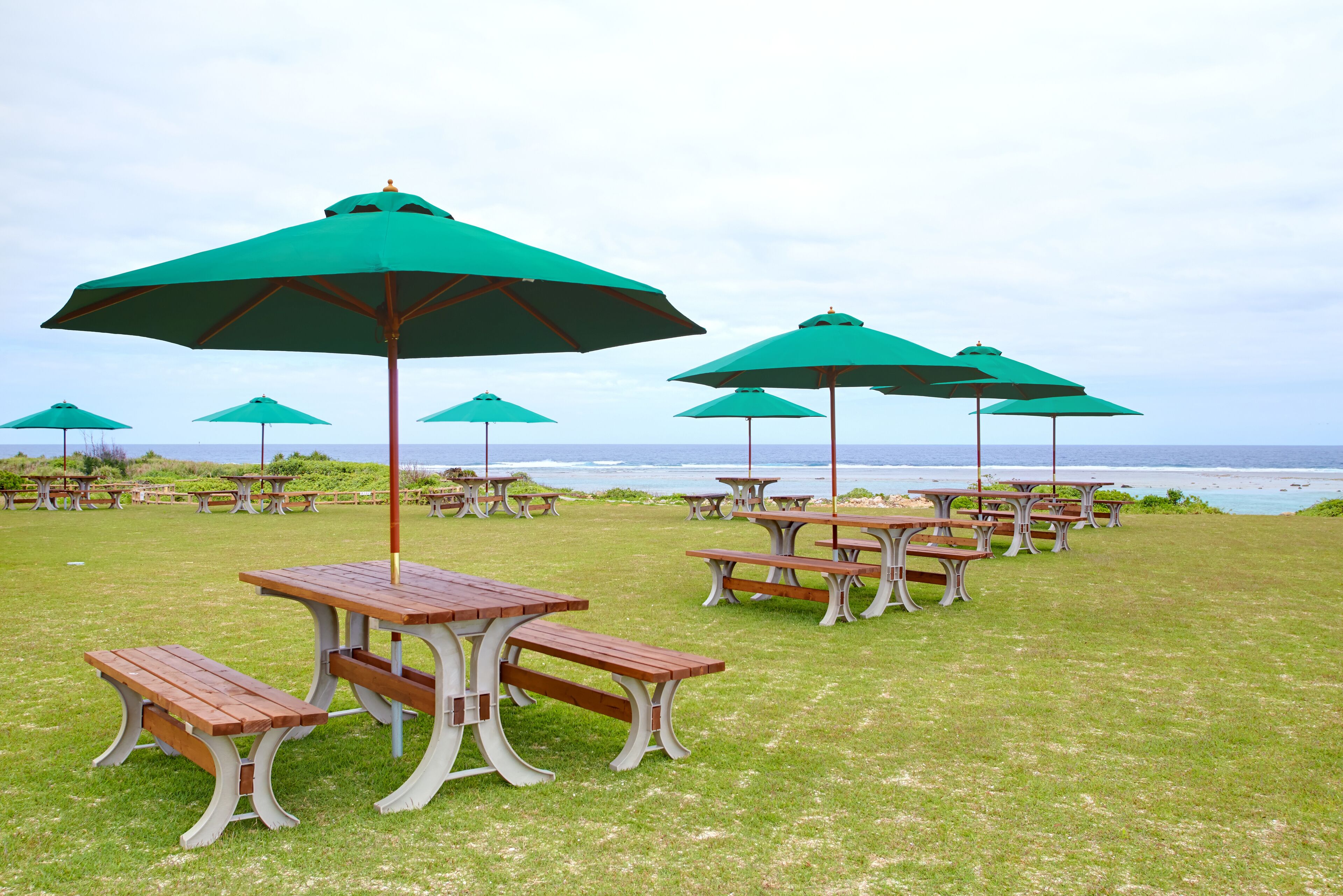 A grassy picnic area with tables and green umbrellas, overlooking the ocean.