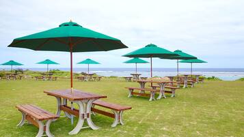 A grassy picnic area with tables and green umbrellas, overlooking the ocean.