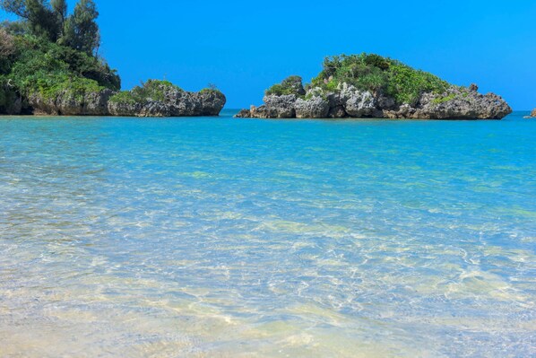 해변에 위치, 백사장