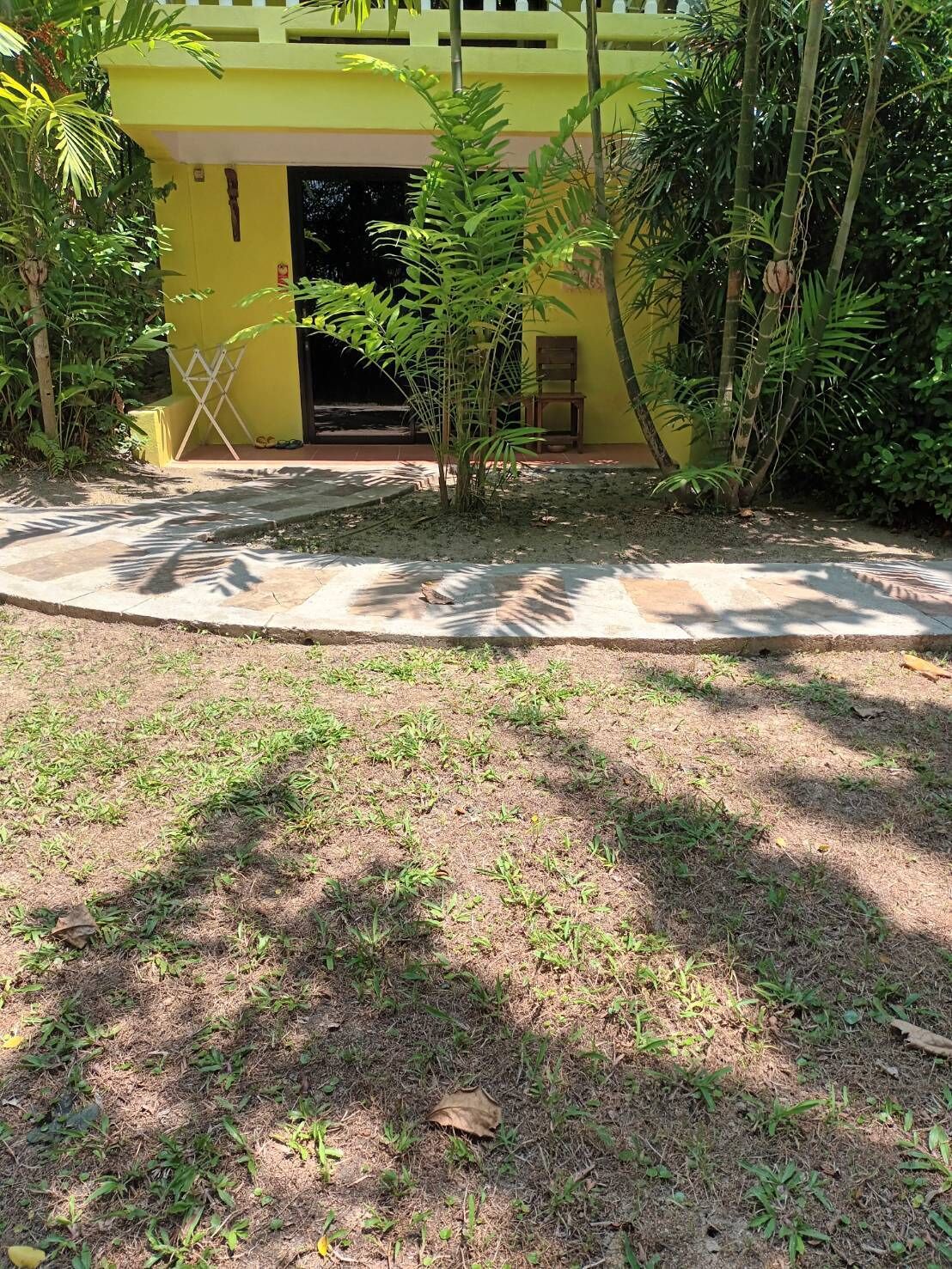 A yellow building with a small garden area, a concrete pathway, and a wooden chair.