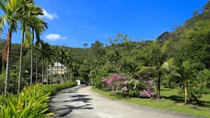 A paved road flanked by lush greenery and palm trees, leading to a building with a white facade. - Naka Resort (Kamala)