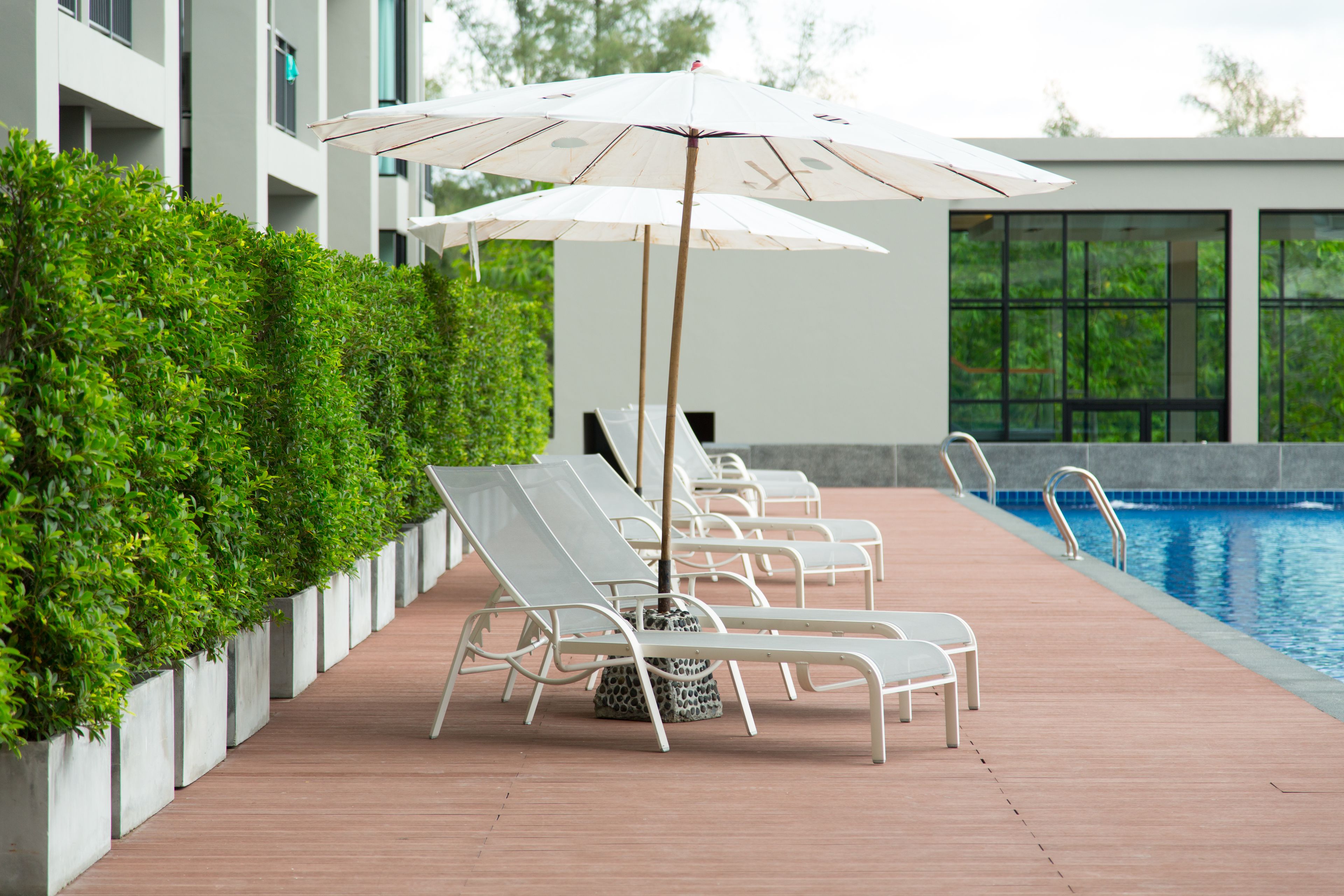 outdoor pool, pool loungers