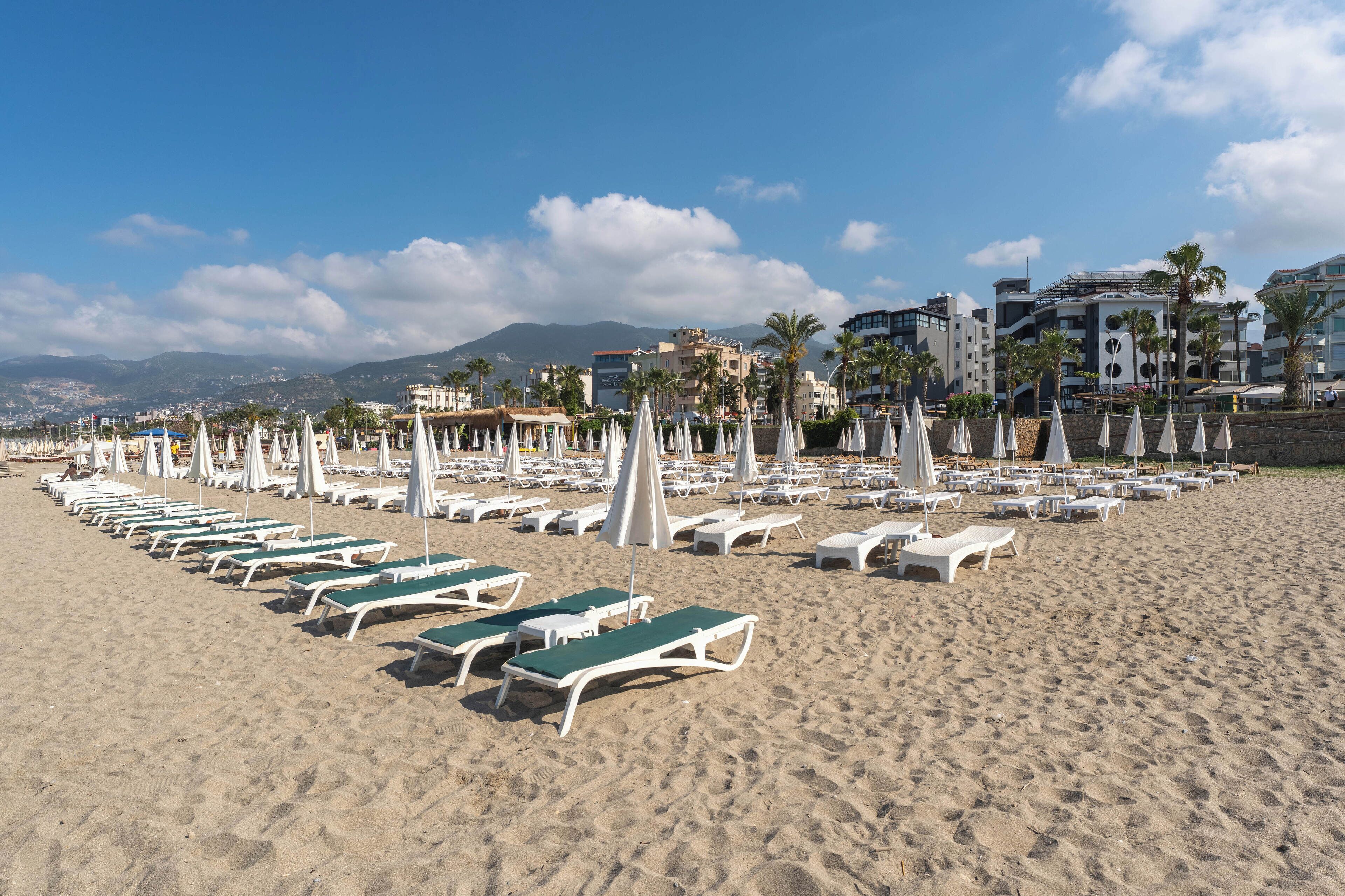 Une plage bordée de rangées de transats et de parasols blancs, avec des palmiers et des bâtiments en arrière-plan.